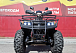 Квадроцикл PROMAX TRX300 CVT в Тюмени Квадроцикл PROMAX TRX300 CVT в Тюмени