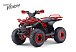 Квадроцикл FAIDET VENOM 125 в Тюмени Квадроцикл FAIDET VENOM 125 в Тюмени