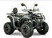 Квадроцикл YACOTA DRAGON LUX LD 150 PRO-SPORT в Тюмени