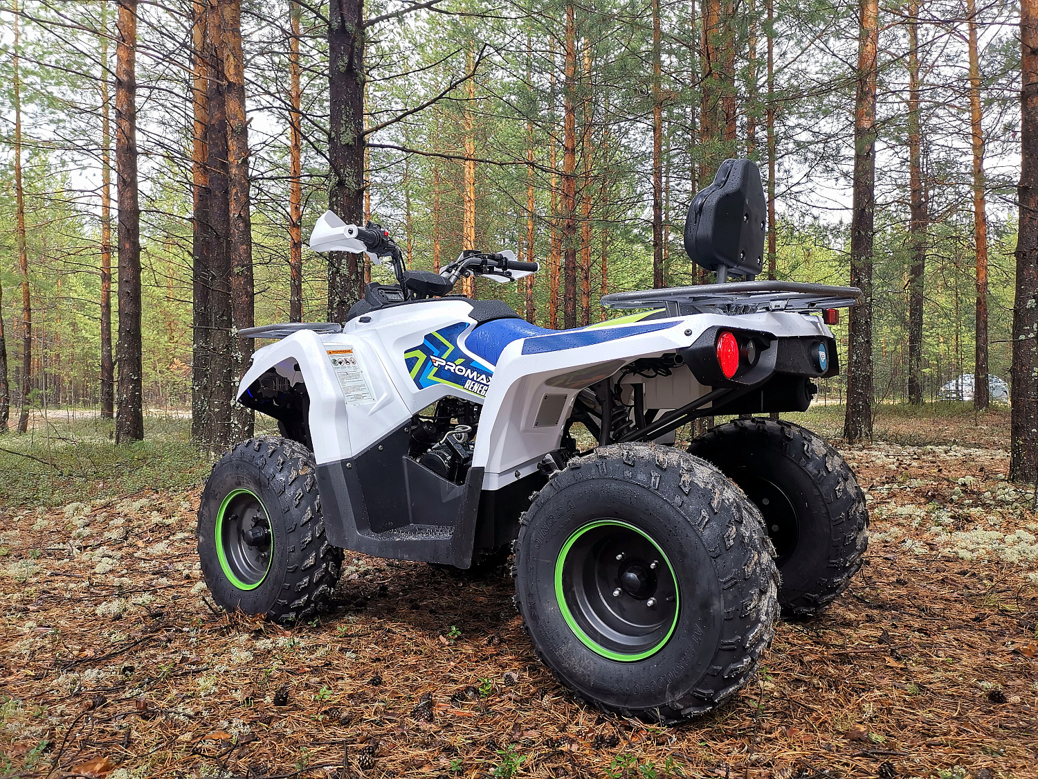 Квадроцикл PROMAX RENEGADE 280 (2025) в Тюмени Квадроцикл PROMAX RENEGADE 280 (2025) в Тюмени