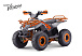 Квадроцикл FAIDET VENOM 125 в Тюмени Квадроцикл FAIDET VENOM 125 в Тюмени