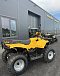 КВАДРОЦИКЛ IRBIS ATV 250  в Тюмени КВАДРОЦИКЛ IRBIS ATV 250  в Тюмени