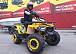 Квадроцикл PROMAX STORM 280 LUX в Тюмени Квадроцикл PROMAX STORM 280 LUX в Тюмени