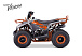 Квадроцикл FAIDET VENOM 125 в Тюмени Квадроцикл FAIDET VENOM 125 в Тюмени