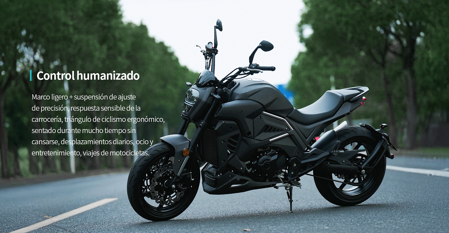 Мотоцикл FAIDET Z450 NAVIGATOR в Тюмени