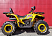Квадроцикл PROMAX STORM 280 LUX в Тюмени Квадроцикл PROMAX STORM 280 LUX в Тюмени