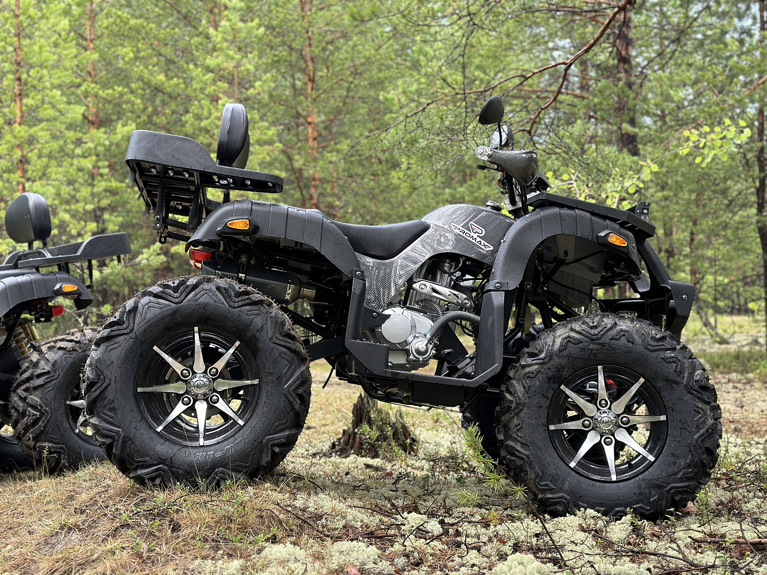 Квадроцикл PROMAX 320 DOMINATOR (2025) в Тюмени Квадроцикл PROMAX 320 DOMINATOR (2025) в Тюмени