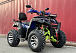 Квадроцикл PROMAX ATV 250 MAX (2025) в Тюмени  Квадроцикл PROMAX ATV 250 MAX (2025) в Тюмени