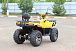 Квадроцикл IRBIS ATV 200 LUX (+лебедка) в Тюмени Квадроцикл IRBIS ATV 200 LUX (+лебедка) в Тюмени