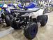 Квадроцикл PROMAX WILD 175 LUX в Тюмени Квадроцикл PROMAX WILD 175 LUX в Тюмени