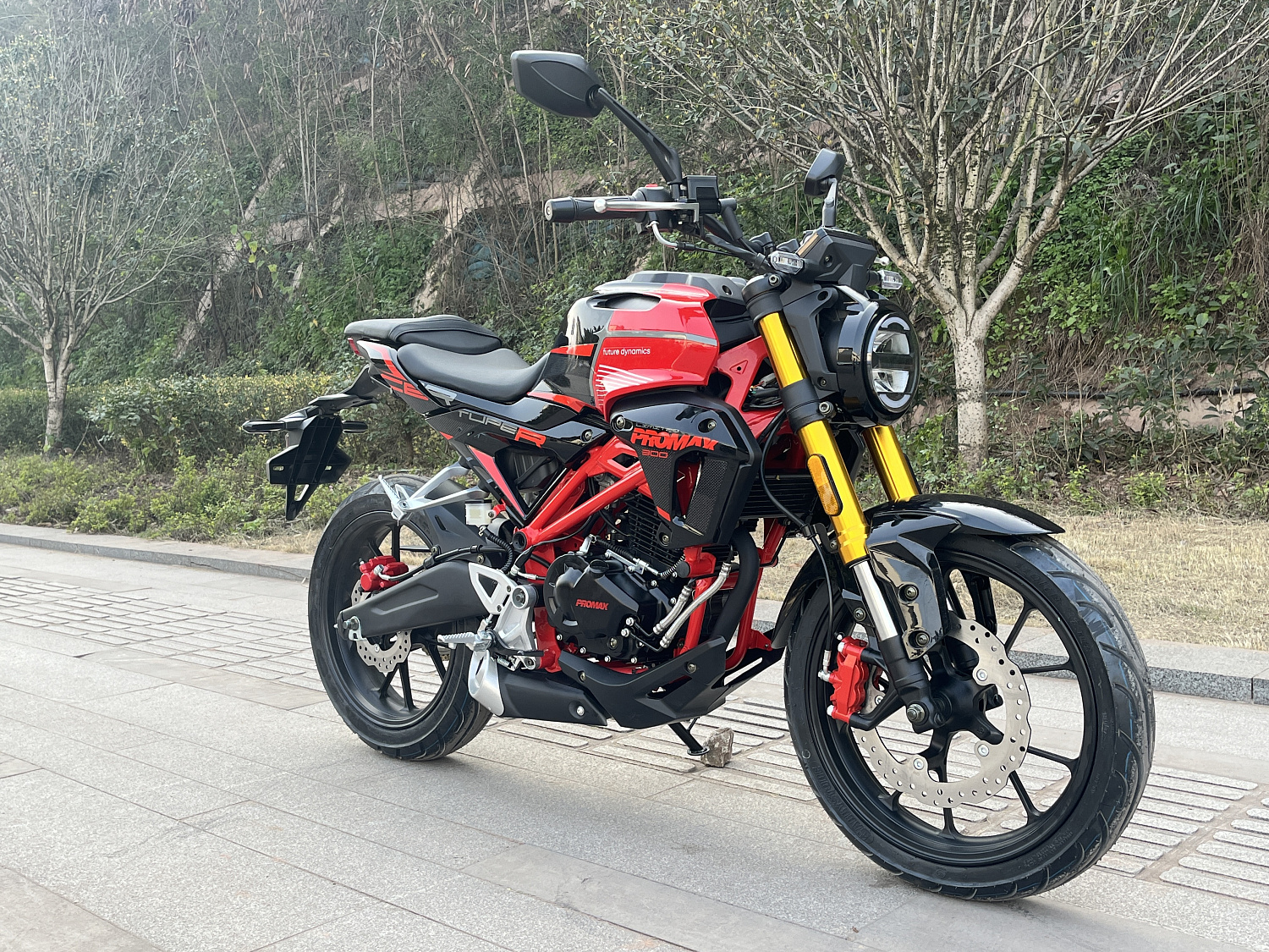 Мотоцикл PROMAX CB300 в Тюмени