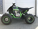 Квадроцикл PROMAX RAPTOR 300 NEW Monster в Тюмени Квадроцикл PROMAX RAPTOR 300 NEW Monster в Тюмени