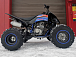 Квадроцикл PROMAX RAPTOR 300 NEW RedBull в Тюмени Квадроцикл PROMAX RAPTOR 300 NEW RedBull в Тюмени