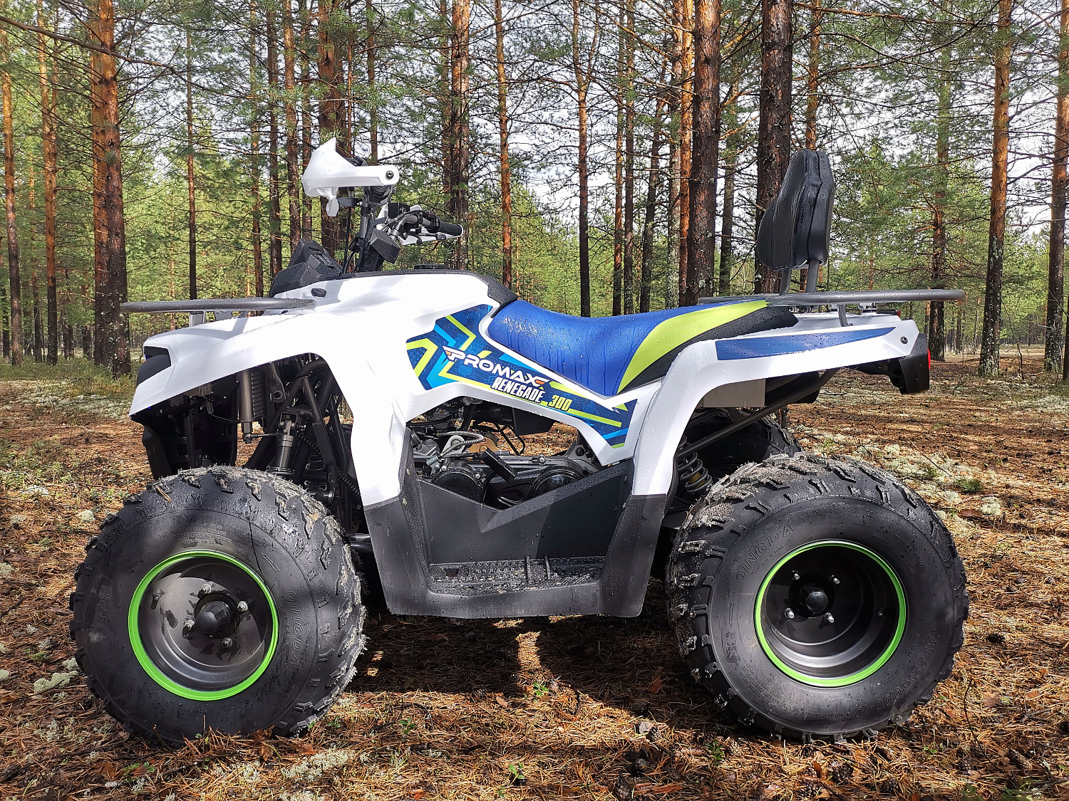 Квадроцикл PROMAX RENEGADE 280 (2025) в Тюмени Квадроцикл PROMAX RENEGADE 280 (2025) в Тюмени