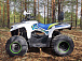 Квадроцикл PROMAX RENEGADE 280 (2025) в Тюмени Квадроцикл PROMAX RENEGADE 280 (2025) в Тюмени