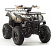 Квадроцикл PROMAX ATV 250 (2025) в Тюмени Квадроцикл PROMAX ATV 250 (2025) в Тюмени