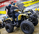 Квадроцикл PROMAX ATV 250 (2025) в Тюмени Квадроцикл PROMAX ATV 250 (2025) в Тюмени