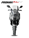 МаксиСкутер PROMAX-HONDA ADV 150 (49) EFI (Inspired by HONDA) в Тюмени