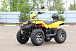 Квадроцикл IRBIS ATV 200 LUX (+лебедка) в Тюмени Квадроцикл IRBIS ATV 200 LUX (+лебедка) в Тюмени