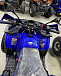 Квадроцикл PROMAX WILD 2.0 190 PRO (2025) в Тюмени Квадроцикл PROMAX WILD 2.0 190 PRO (2025) в Тюмени