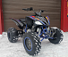 Квадроцикл PROMAX RAPTOR 300 NEW RedBull в Тюмени Квадроцикл PROMAX RAPTOR 300 NEW RedBull в Тюмени