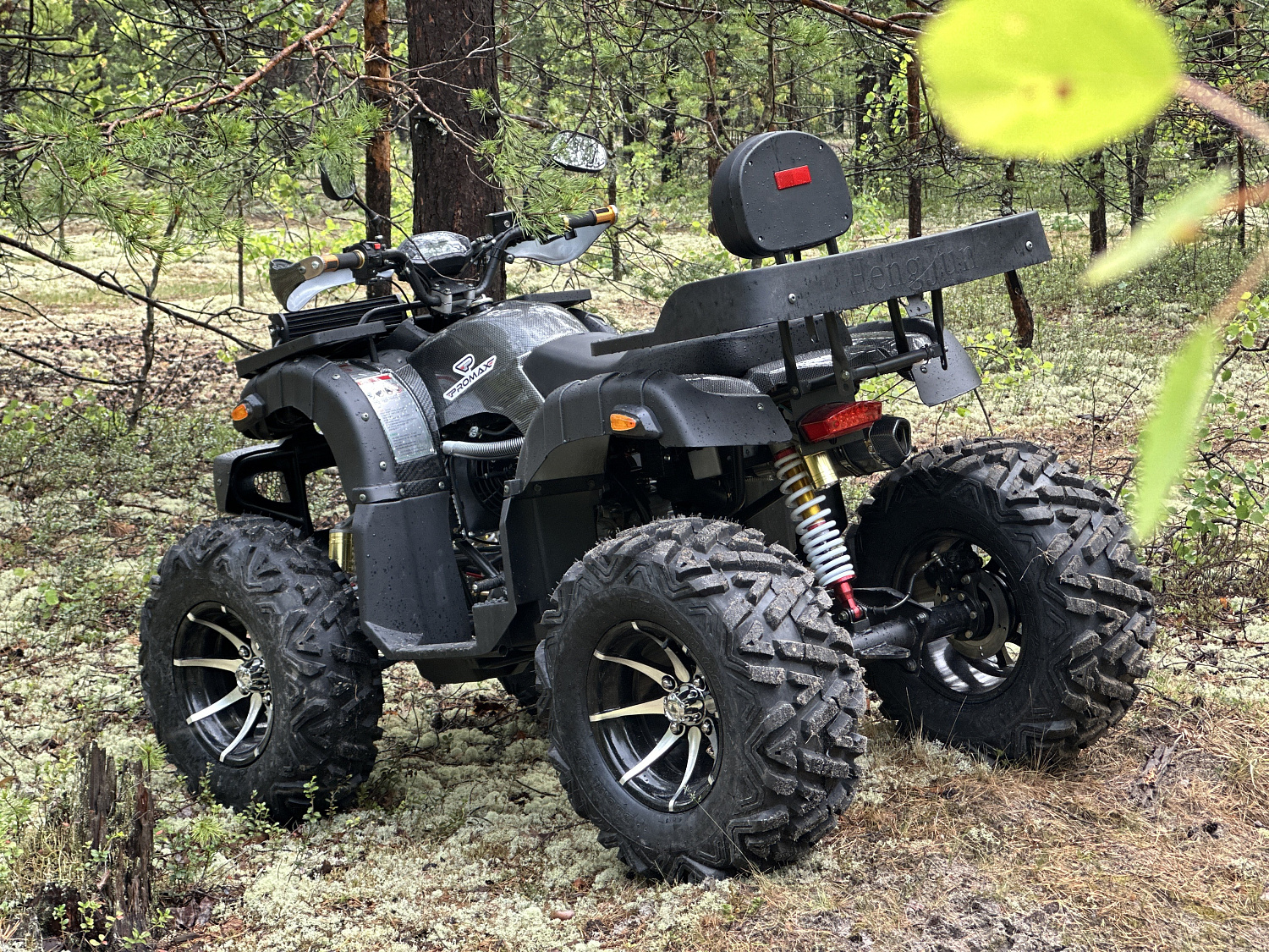 Квадроцикл PROMAX 320 DOMINATOR (2025) в Тюмени Квадроцикл PROMAX 320 DOMINATOR (2025) в Тюмени