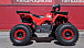 Квадроцикл PROMAX WILD 175 BASIC в Тюмени Квадроцикл PROMAX WILD 175 BASIC в Тюмени