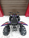 Квадроцикл PROMAX RAPTOR 300 NEW RedBull в Тюмени Квадроцикл PROMAX RAPTOR 300 NEW RedBull в Тюмени