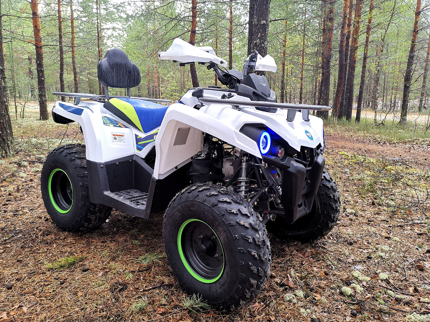 Квадроцикл PROMAX RENEGADE 280 (2025) в Тюмени Квадроцикл PROMAX RENEGADE 280 (2025) в Тюмени