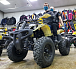Квадроцикл PROMAX ATV 250 (2025) в Тюмени Квадроцикл PROMAX ATV 250 (2025) в Тюмени