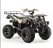 Квадроцикл PROMAX ATV 250 (2025) в Тюмени Квадроцикл PROMAX ATV 250 (2025) в Тюмени