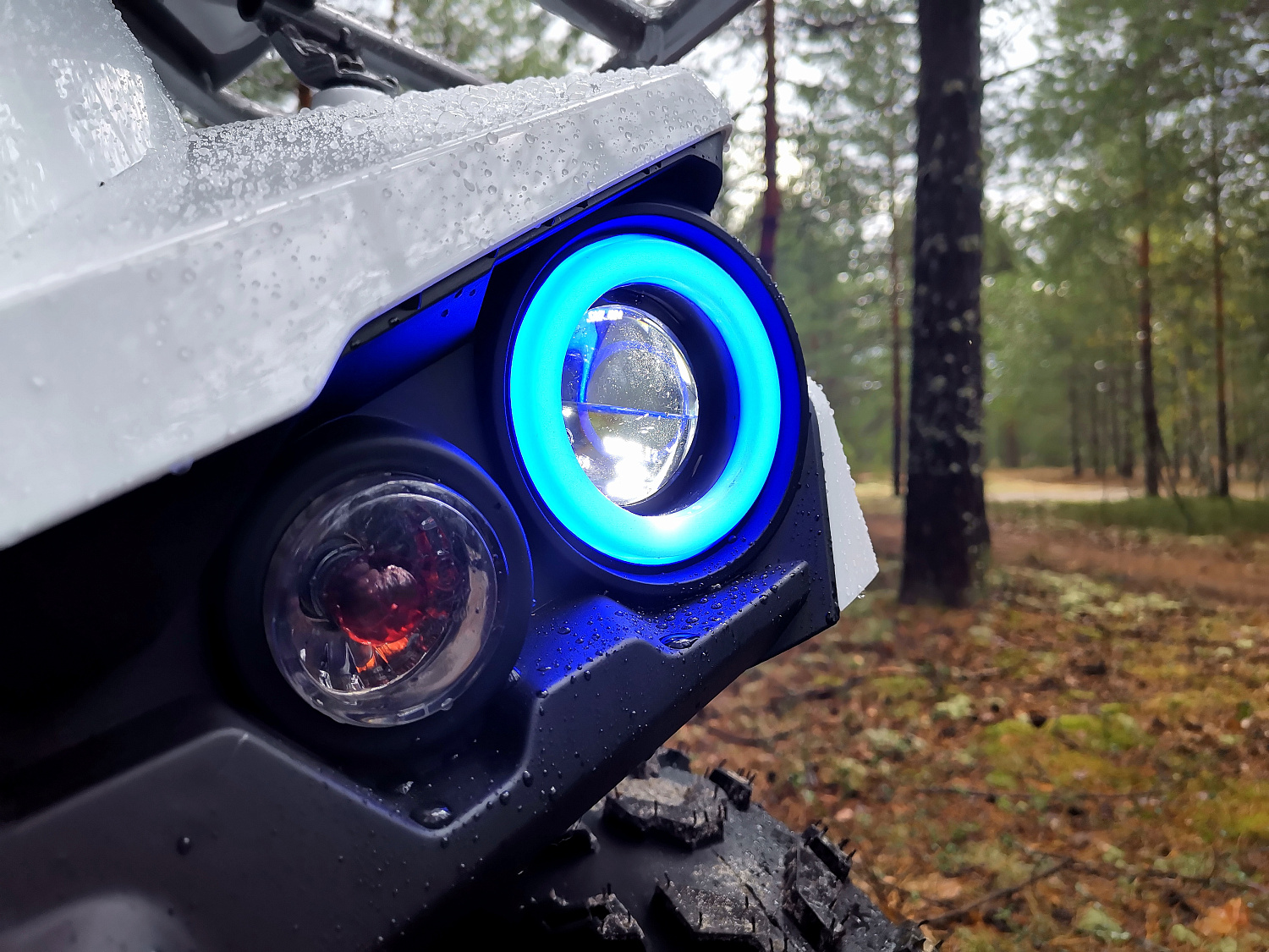 Квадроцикл PROMAX RENEGADE 280 (2025) в Тюмени Квадроцикл PROMAX RENEGADE 280 (2025) в Тюмени