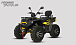 Квадроцикл PROMAX TAURUS 300 MAX-PRO LONG в Тюмени Квадроцикл PROMAX TAURUS 300 MAX-PRO LONG в Тюмени