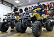 Квадроцикл PROMAX ATV 250 (2025) в Тюмени Квадроцикл PROMAX ATV 250 (2025) в Тюмени